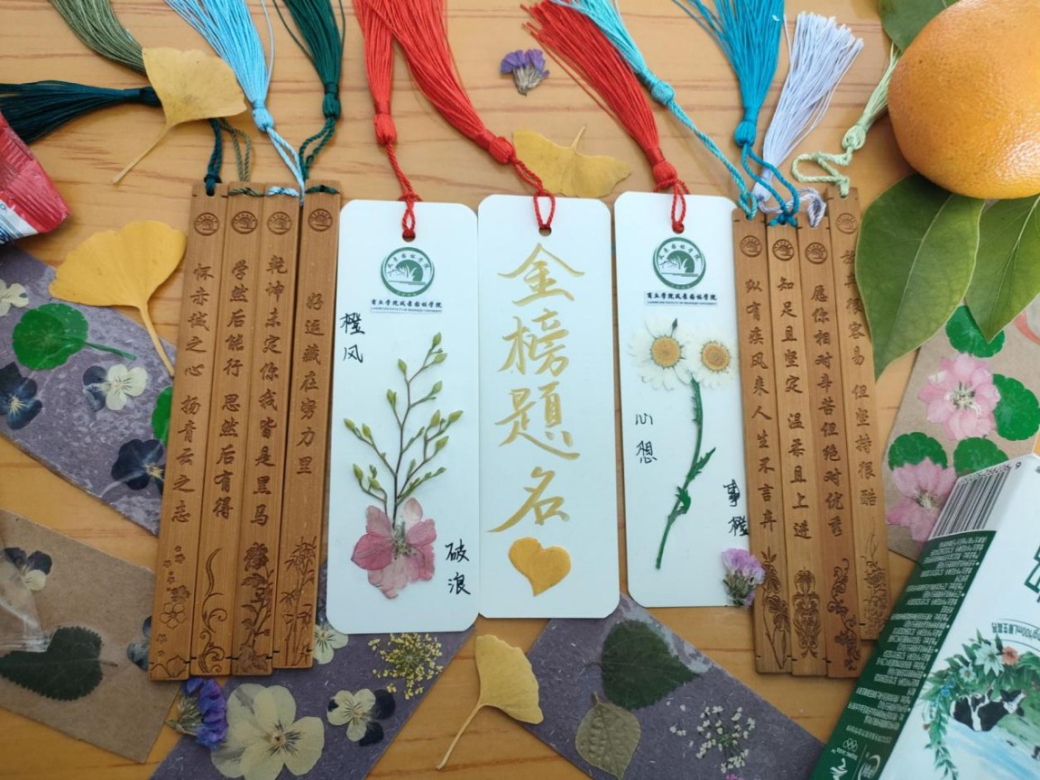 图片 1.jpg