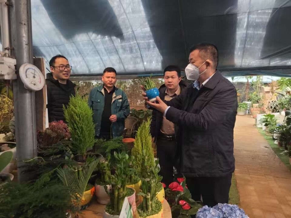 图片 1.jpg