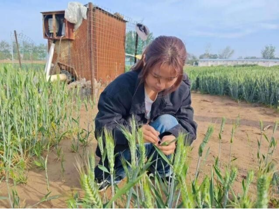 图片.png 图片.png