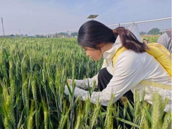 图片.png 图片.png