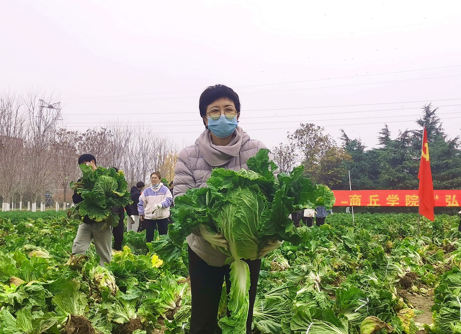 微信图片_20221124080205.jpg