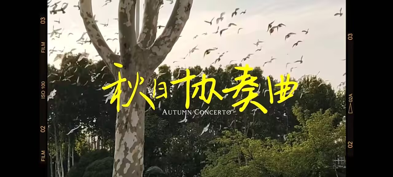 7da126d971d86d5f89362c54c0323074_720.jpg 7da126d971d86d5f89362c54c0323074_720.jpg