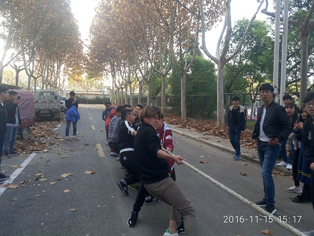 拔河.jpg