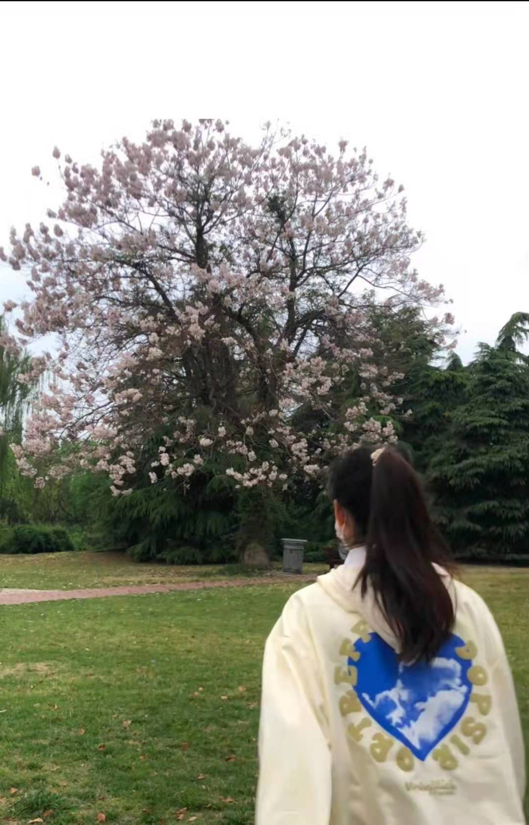 微信图片_20220517090733