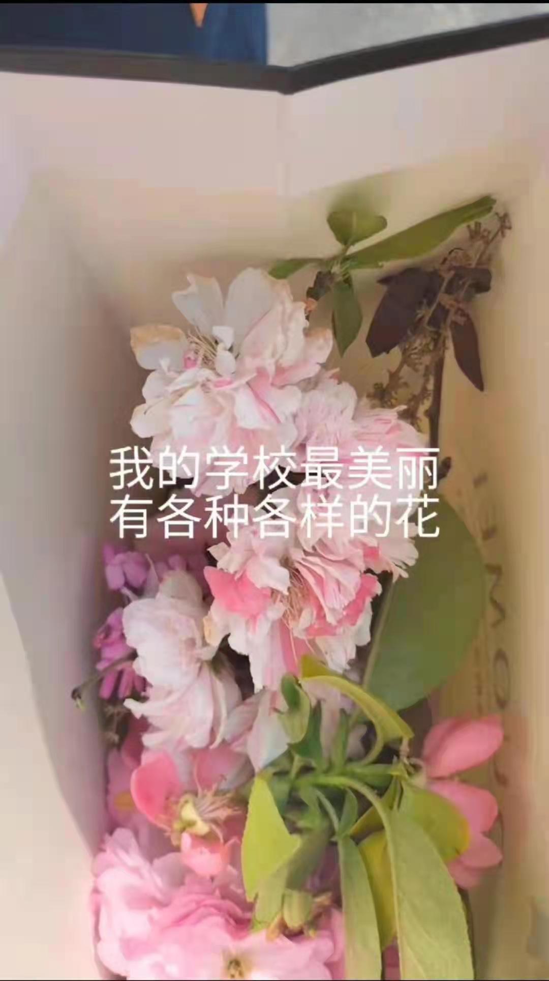 微信图片_20220517090703