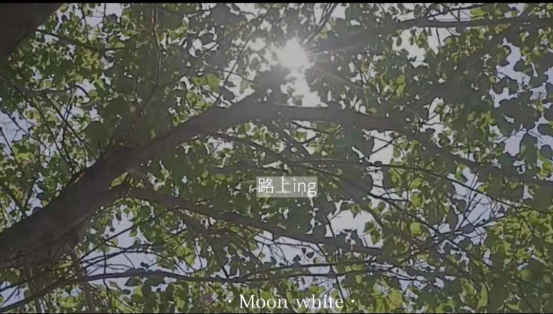 微信图片_20220517090719