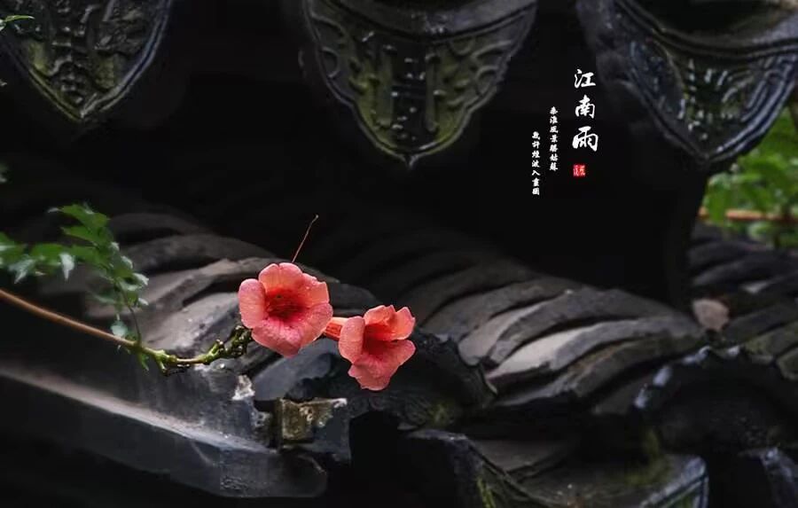 a5854bcfa69630bae7d1e40bfb68be80.jpg