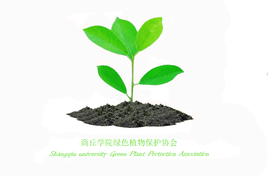 社旗.png