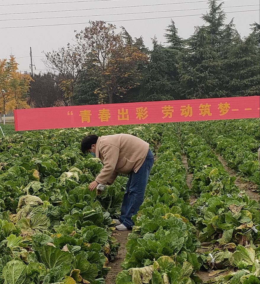 QQ图片20221124171154.jpg