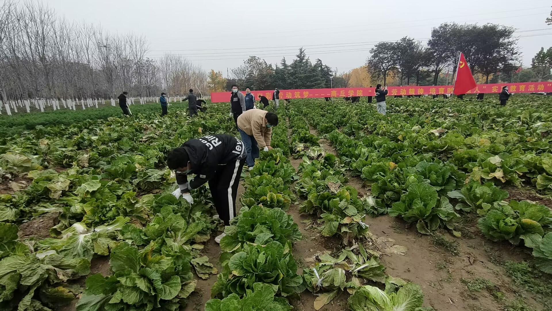 QQ图片20221124183138.jpg