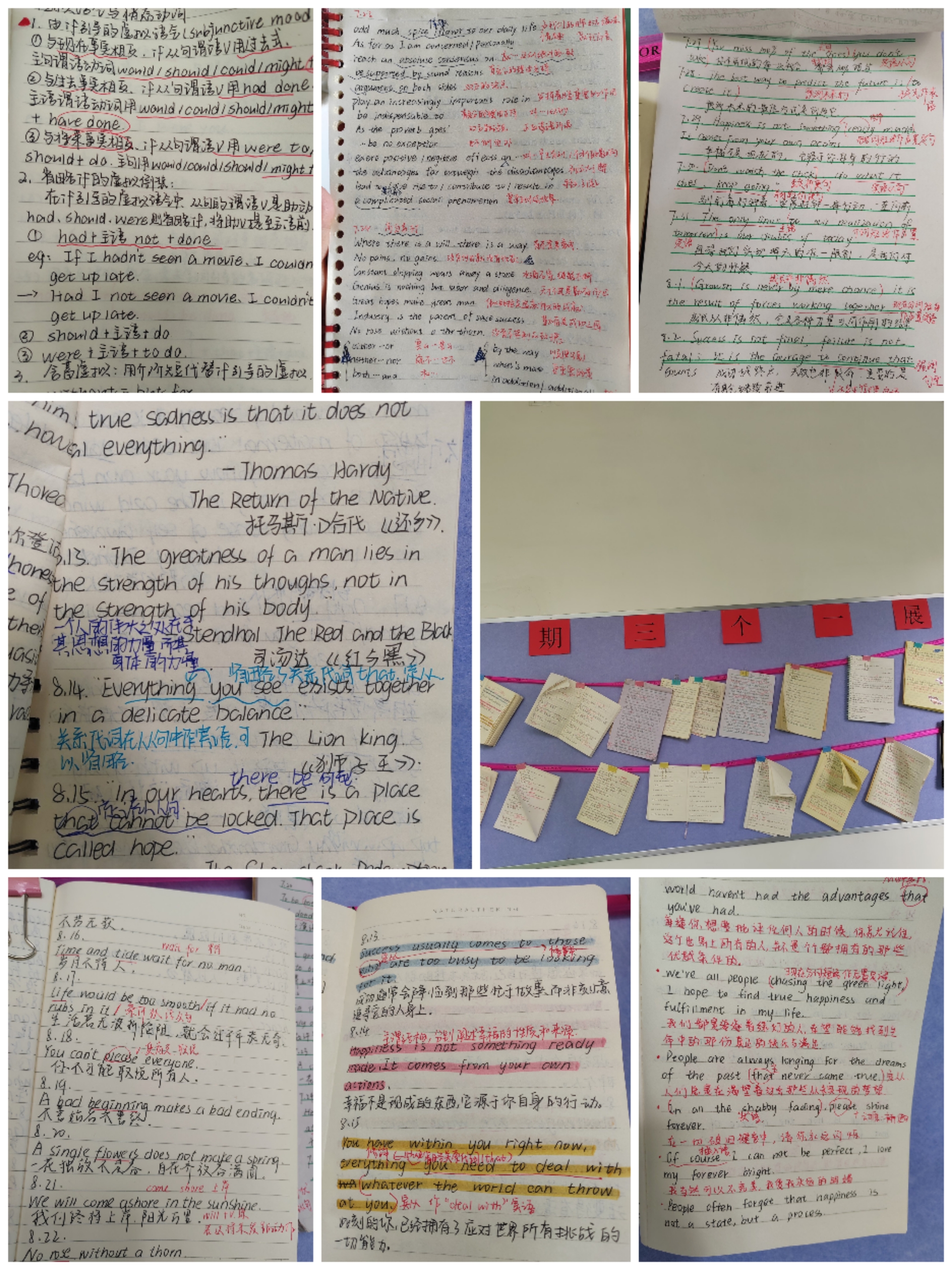 Collage_20250915_095249