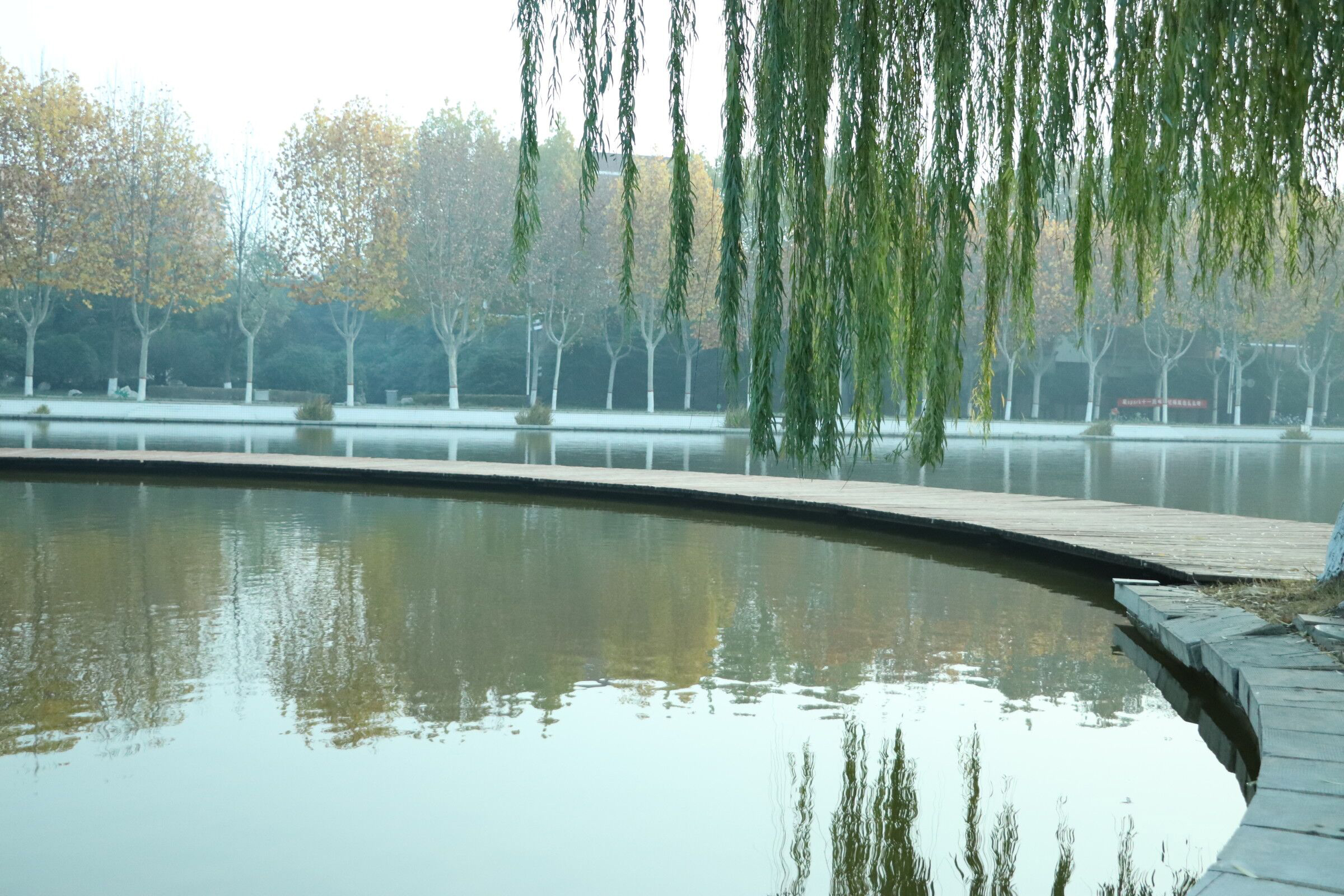 QQ图片20220503141818.jpg