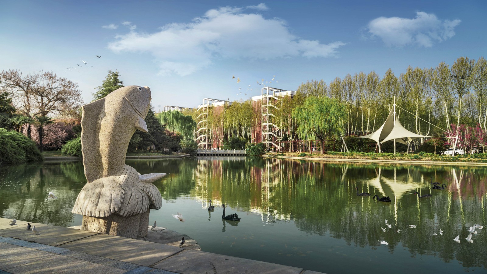 校园风光 (24).jpg